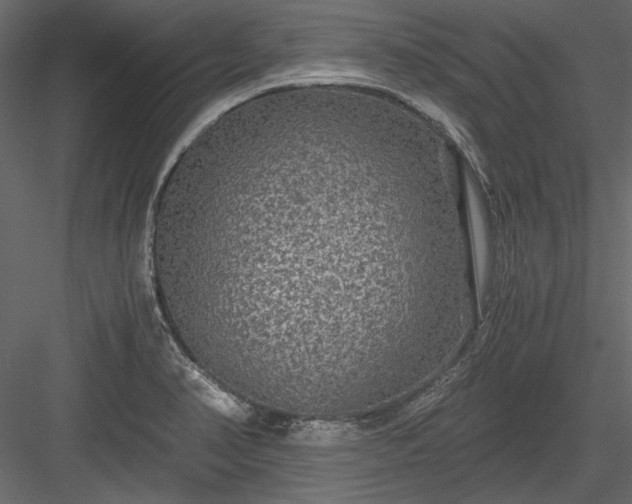 X0000084031374200702232247