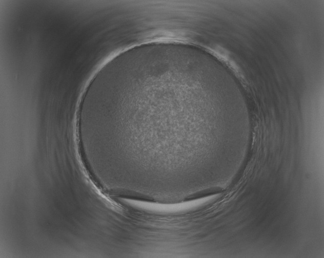 X0000084031375200702232247