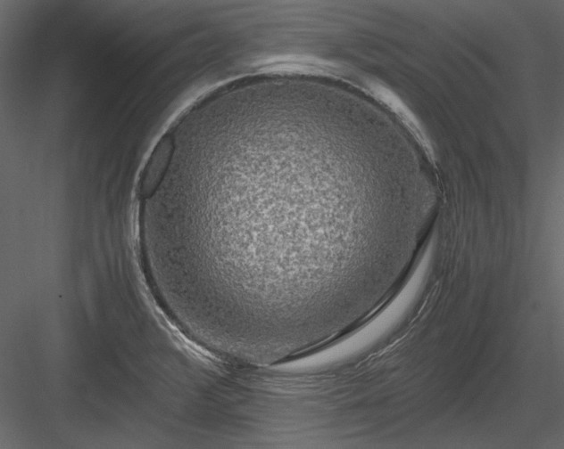 X0000084031376200702232247