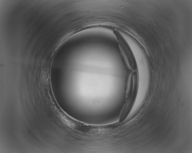 X0000084031377200702232247