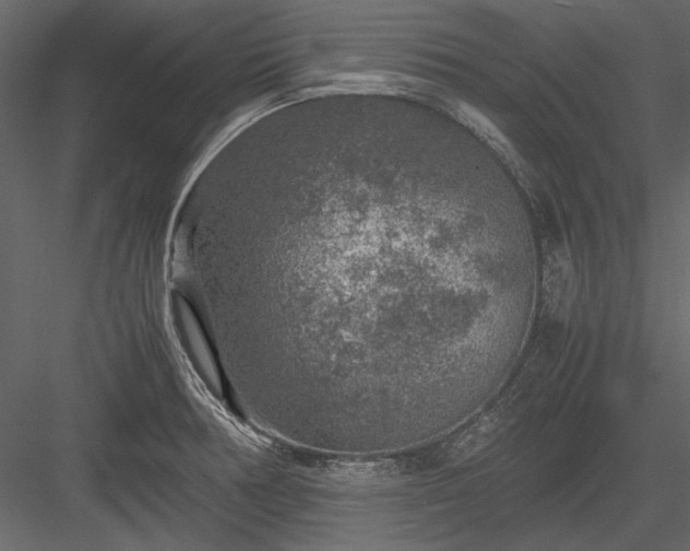 X0000084031378200702232247