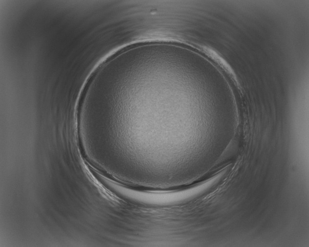 X0000084031380200702232247