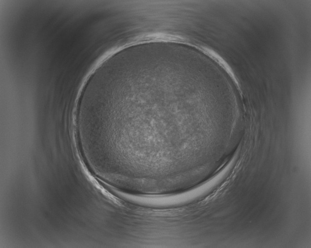 X0000084031381200702232247