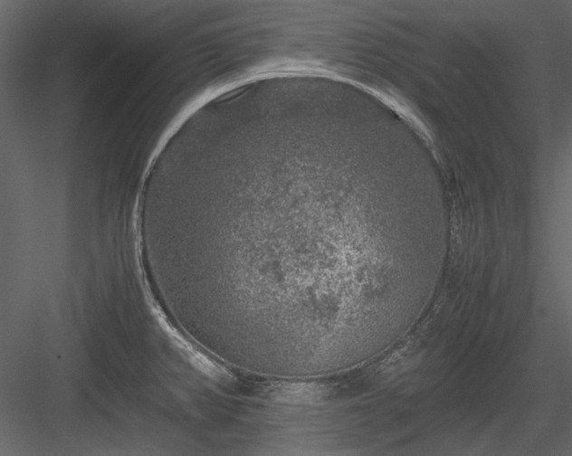 X0000084031382200702232247