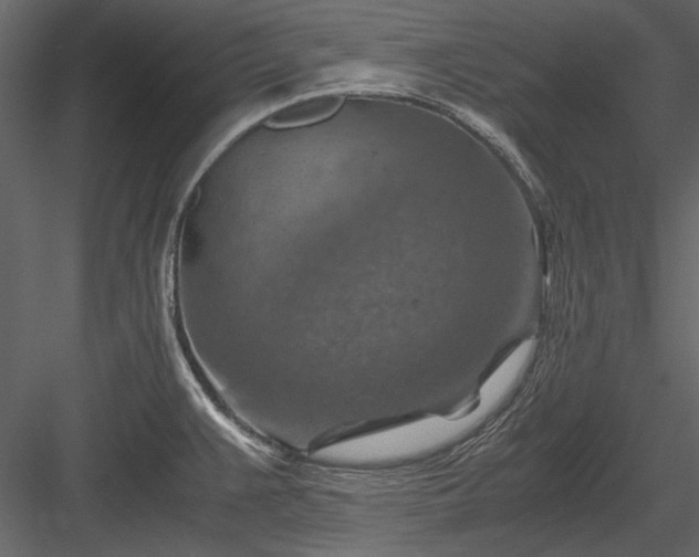 X0000084031383200702232247