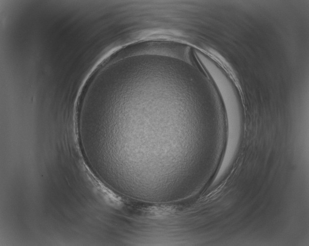 X0000084031384200702232247