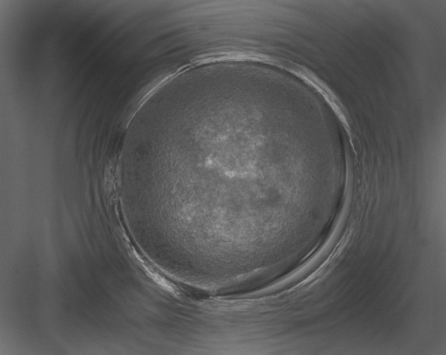 X0000084031385200702232247