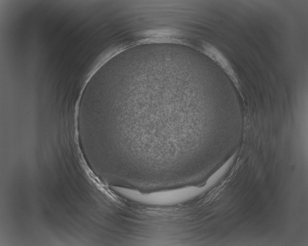 X0000084031386200702232247