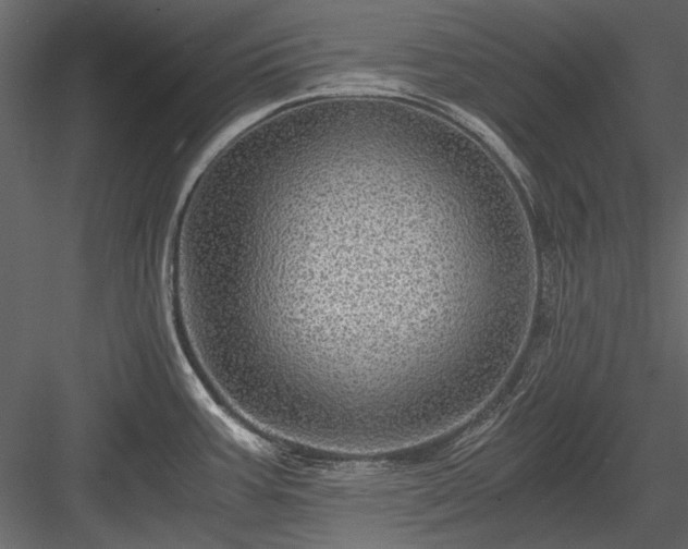 X0000084031387200702232247