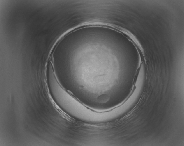 X0000084031388200702232247