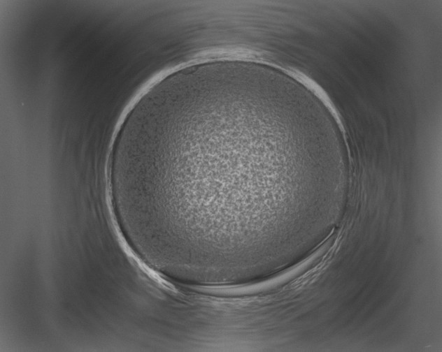 X0000084031389200702232247