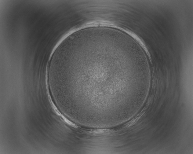 X0000084031390200702232247