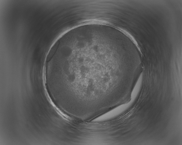 X0000084031391200702232247