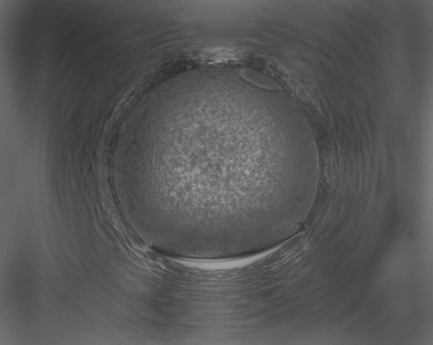 X0000084031393200702232246