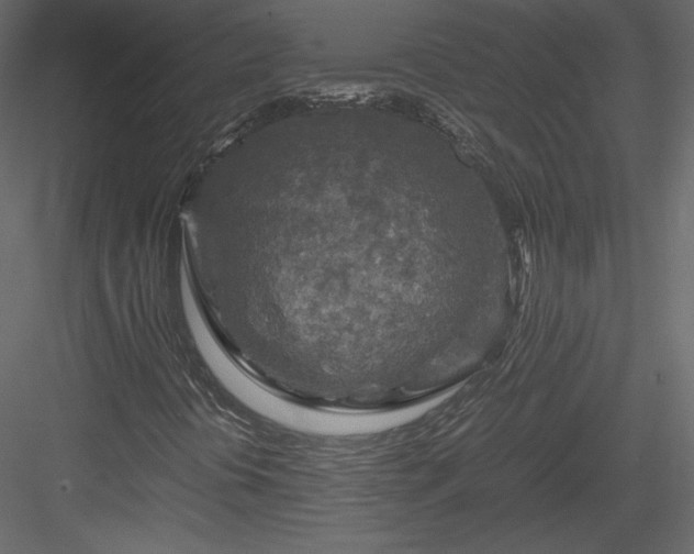 X0000084031394200702232246