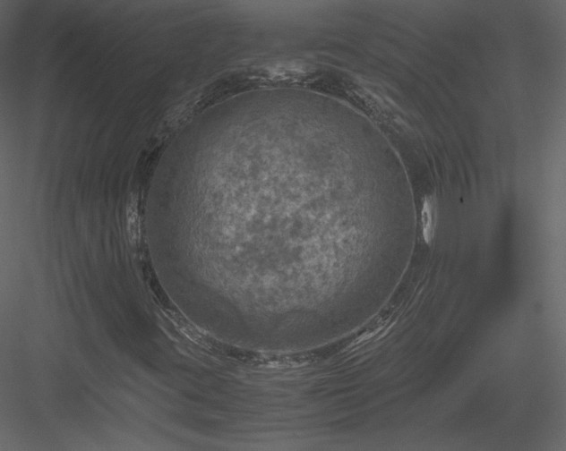 X0000084031395200702232246