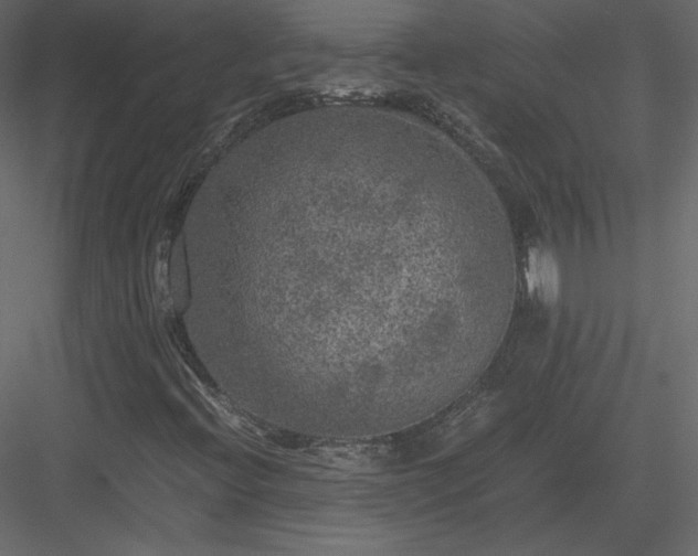 X0000084031396200702232246