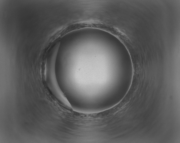 X0000084031398200702232246