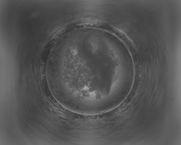 X0000084031399200702232246