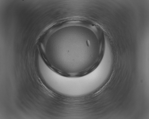 X0000084031402200702232246