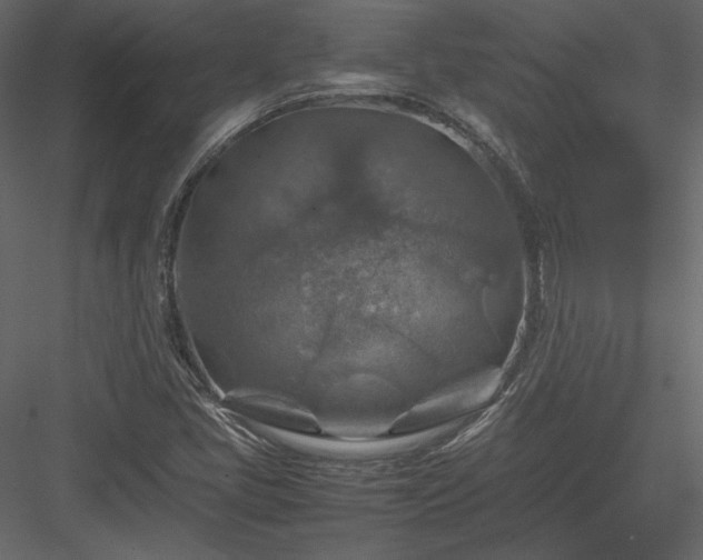 X0000084031405200702232246