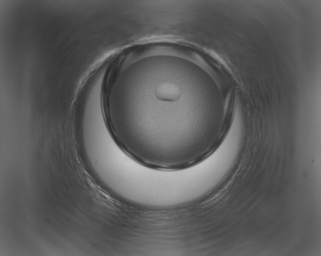 X0000084031406200702232246