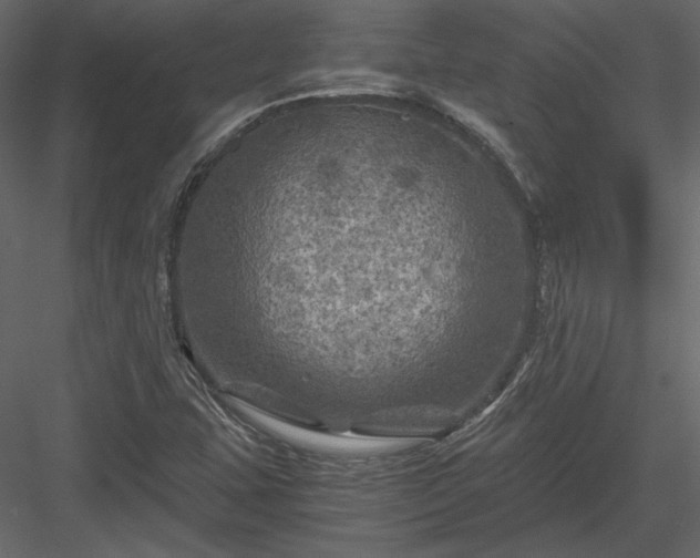 X0000084031407200702232246