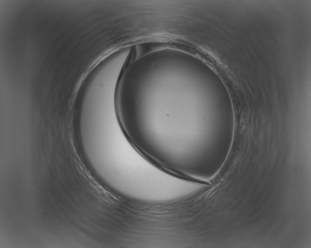 X0000084031410200702232246