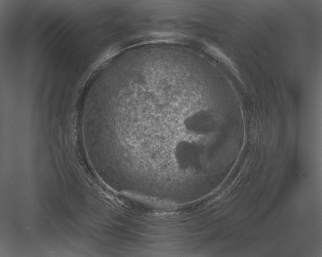 X0000084031411200702232246