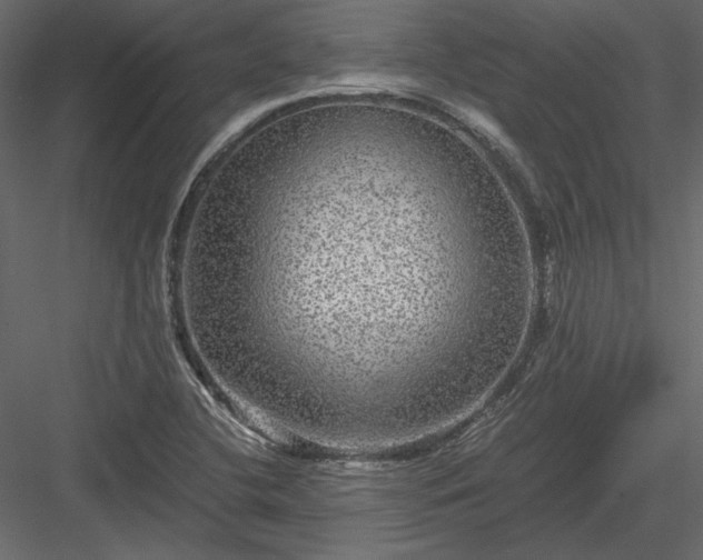 X0000084031412200702232246