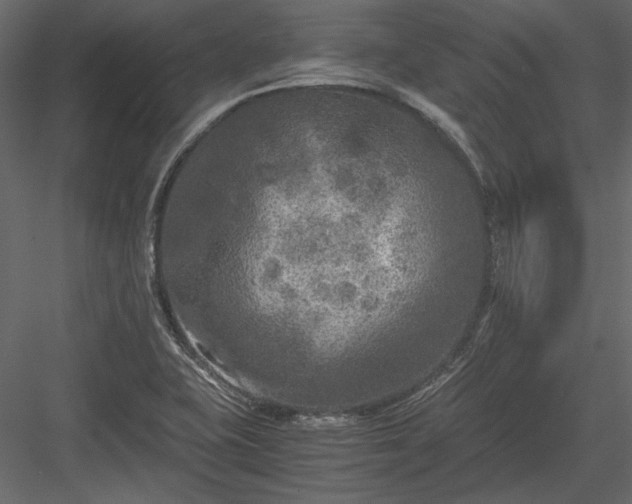 X0000084031415200702232246