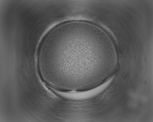 X0000084031416200702232246