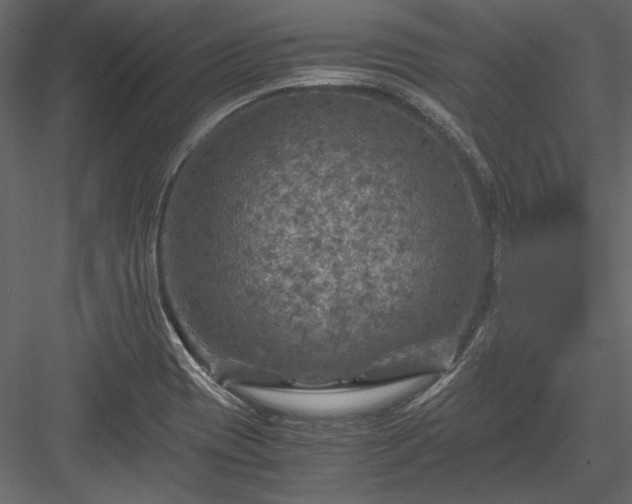 X0000084031417200702232246