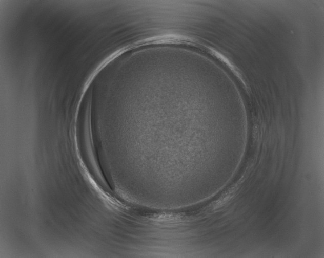 X0000084031418200702232246