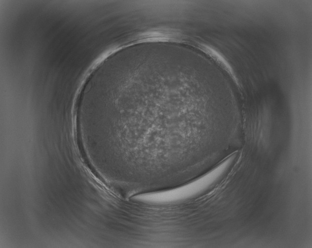 X0000084031419200702232246