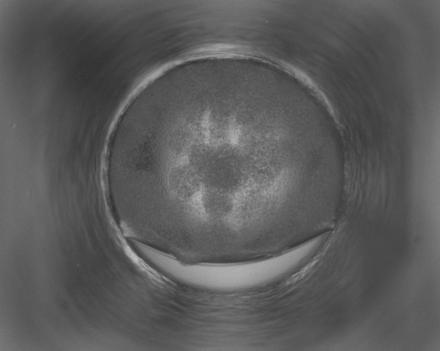 X0000084031421200702232246