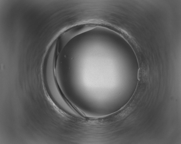 X0000084031422200702232246