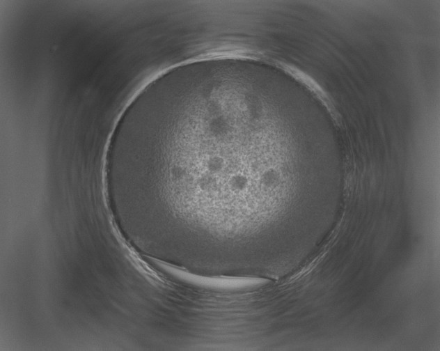 X0000084031423200702232246