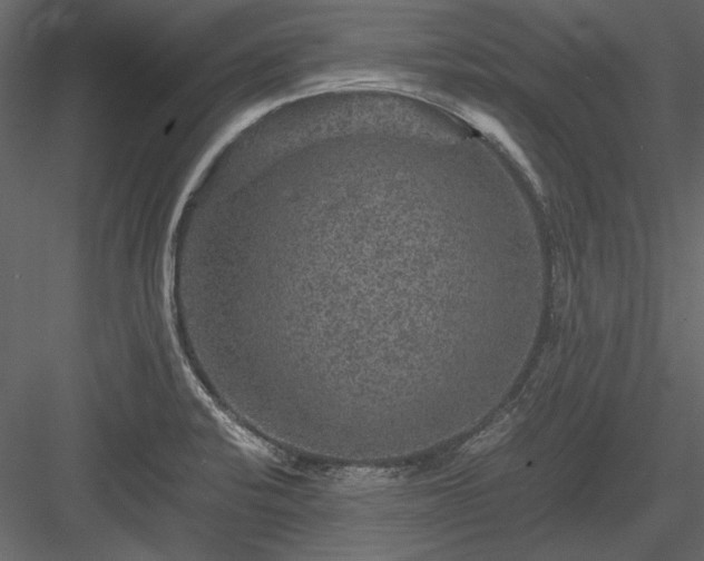 X0000084031424200702232246