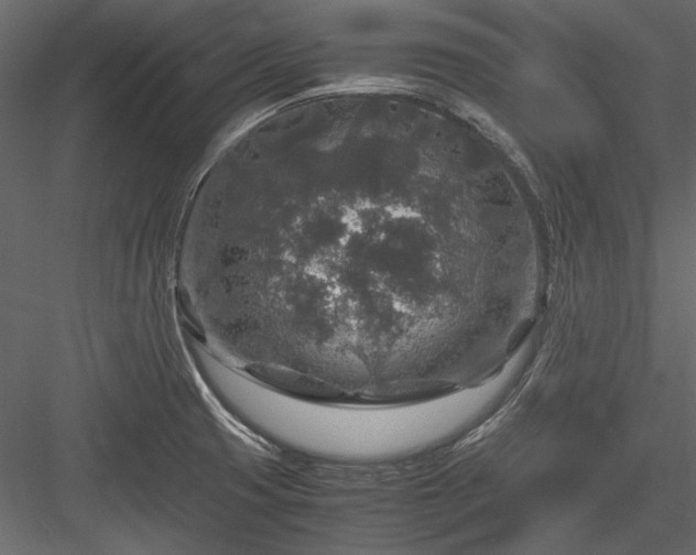 X0000084031425200702232246