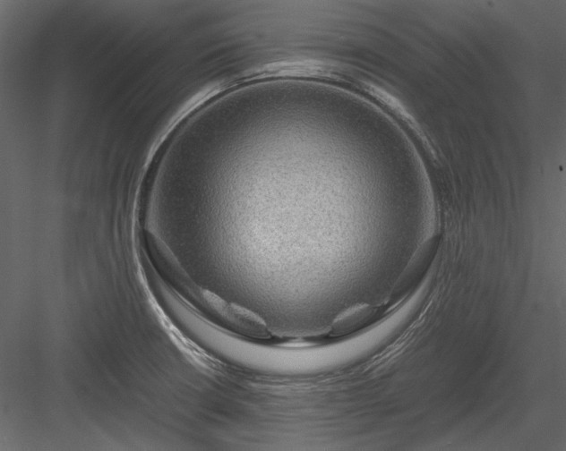 X0000084031426200702232246