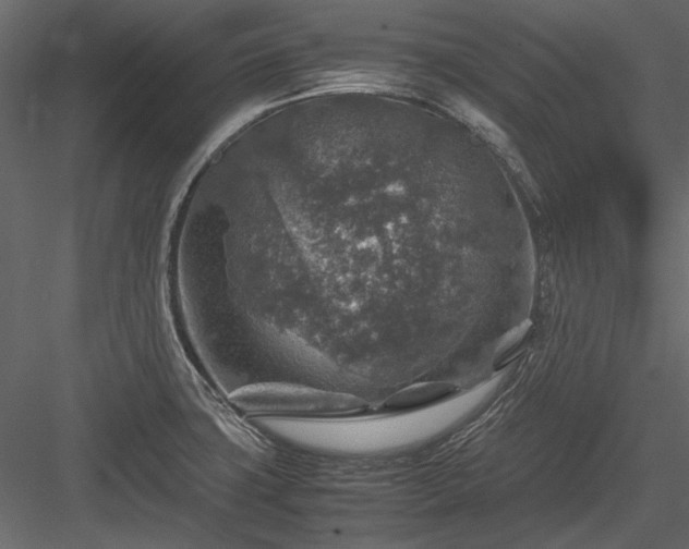 X0000084031427200702232246