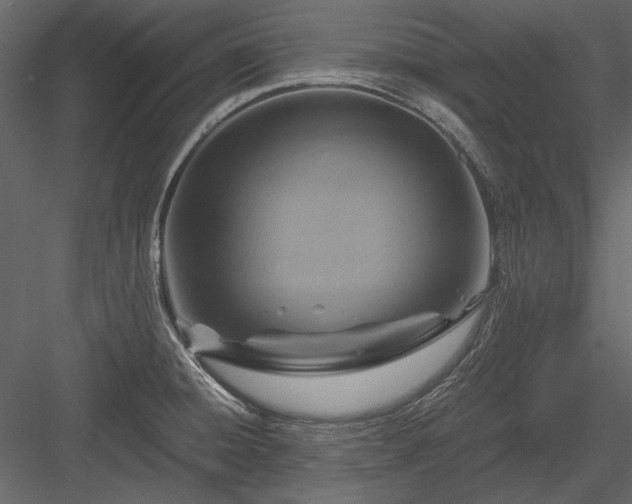 X0000084031428200702232246