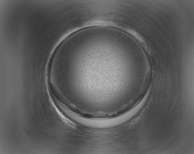 X0000084031430200702232246