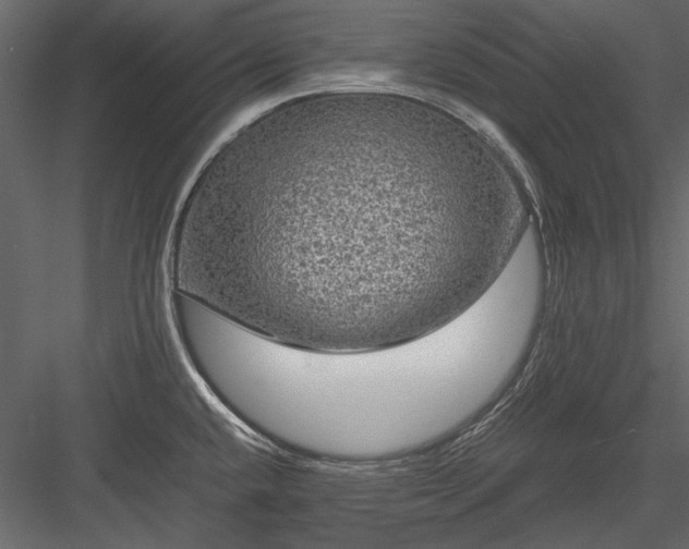 X0000084031432200702232246