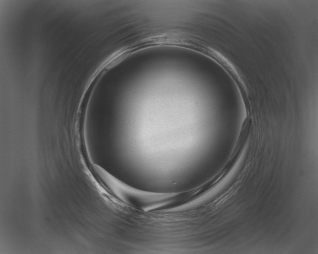 X0000084031434200702232246