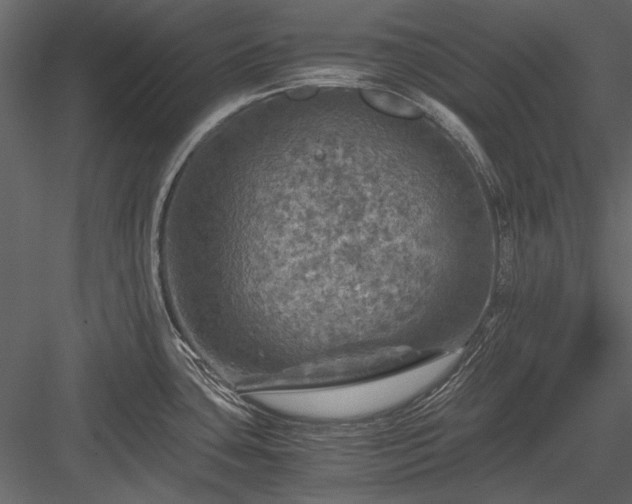 X0000084031435200702232246