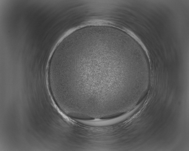 X0000084031437200702232246