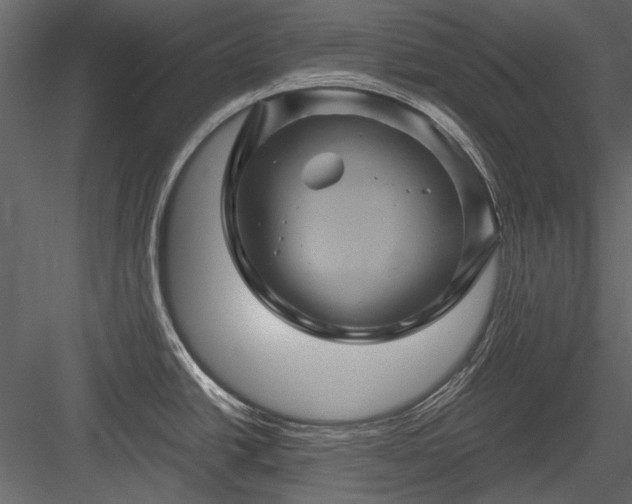 X0000084031438200702232246