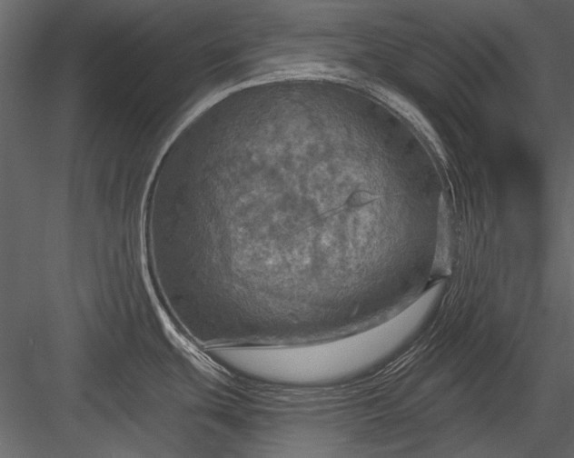 X0000084031439200702232246